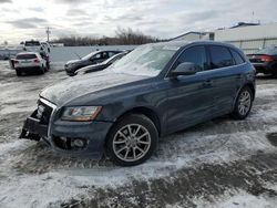 Salvage cars for sale at Albany, NY auction: 2010 Audi Q5 Premium