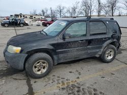 2005 Ford Escape XLT en venta en Bridgeton, MO