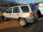 2005 Ford Escape XLT