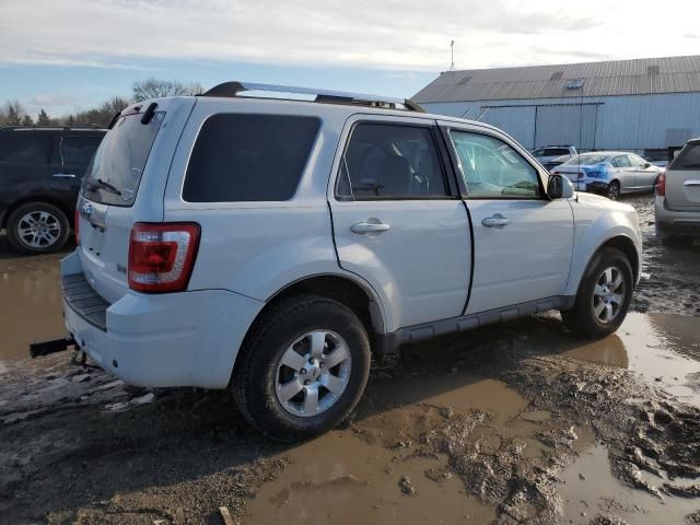 2012 Ford Escape Limited