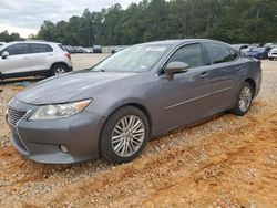 Salvage cars for sale at Eight Mile, AL auction: 2013 Lexus ES 350