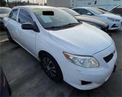 Compre carros salvage a la venta ahora en subasta: 2009 Toyota Corolla Base