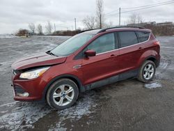 Salvage cars for sale at Montreal Est, QC auction: 2015 Ford Escape SE