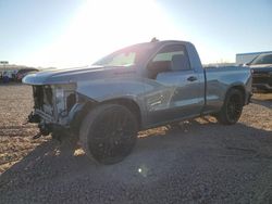 Salvage cars for sale at Phoenix, AZ auction: 2024 Chevrolet Silverado C1500