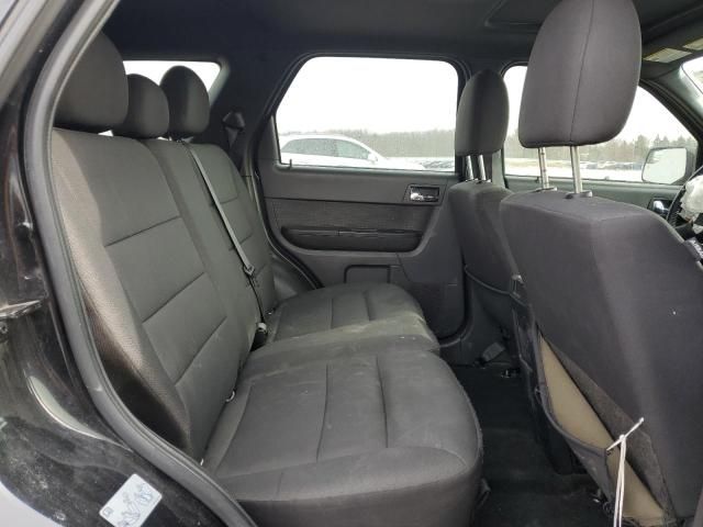 2011 Ford Escape XLT