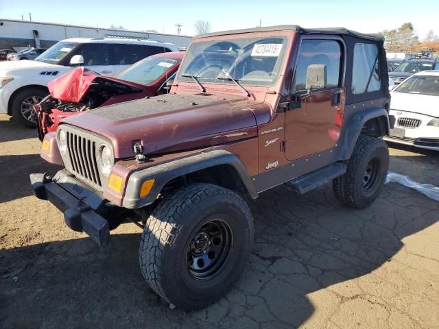 2002 Jeep Wrangler / TJ Sport