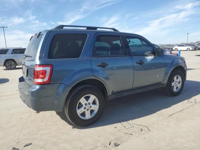 2011 Ford Escape Hybrid