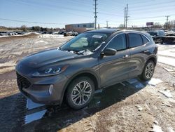 Salvage cars for sale at Colorado Springs, CO auction: 2022 Ford Escape SEL