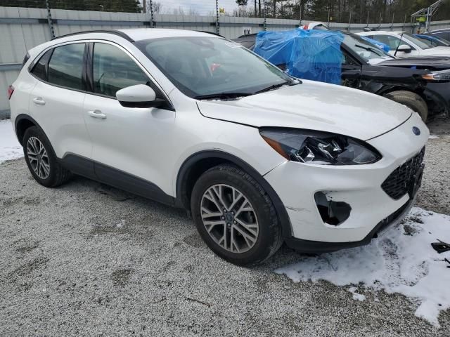 2021 Ford Escape SEL