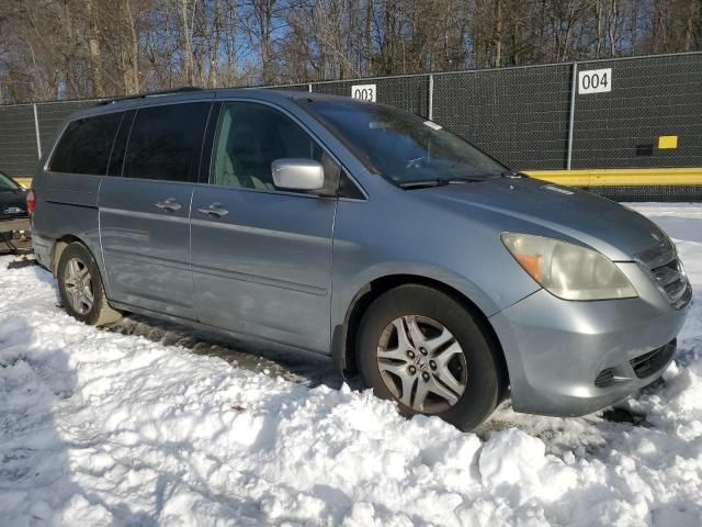 2005 Honda Odyssey EXL