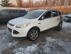 Salvage cars for sale at Davison, MI auction: 2016 Ford Escape SE