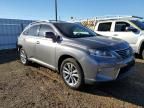 2015 Lexus RX 450H