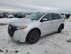 Salvage cars for sale at Helena, MT auction: 2013 Ford Edge Sport