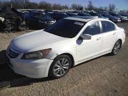 Salvage cars for sale at Oklahoma City, OK auction: 2011 Honda Accord EXL