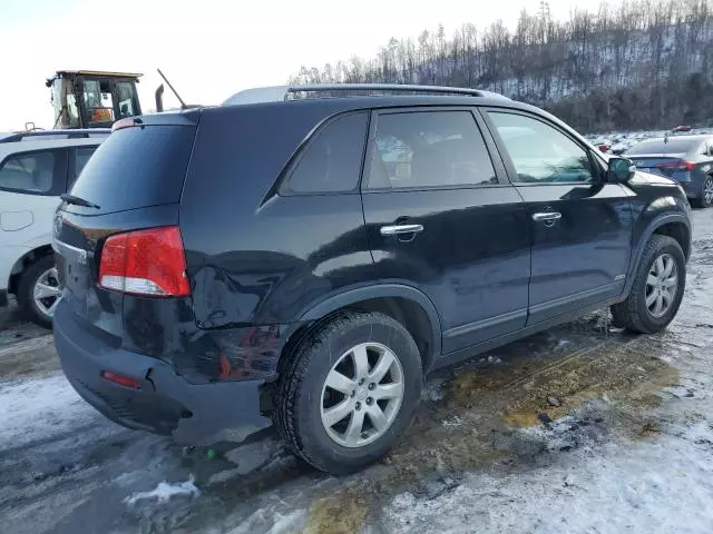 2011 KIA Sorento Base