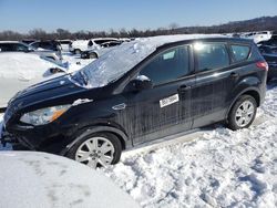 Ford Escape salvage cars for sale: 2013 Ford Escape S