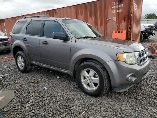 2009 Ford Escape XLT