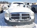 2006 Dodge Dakota ST