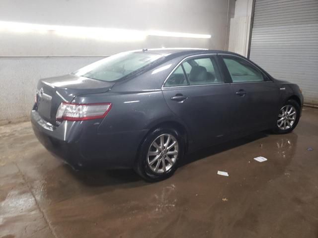 2010 Toyota Camry Hybrid