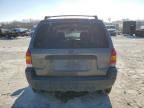 2004 Ford Escape XLT