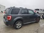 2008 Ford Escape Limited