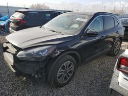 Salvage cars for sale from Copart Magna, UT: 2021 Ford Escape SEL