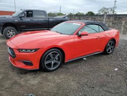 Salvage cars for sale at Homestead, FL auction: 2024 Ford Mustang