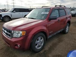 Salvage cars for sale at Elgin, IL auction: 2008 Ford Escape XLT