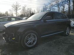 Salvage cars for sale at Waldorf, MD auction: 2013 Audi Q5 Premium Plus