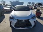 2024 Lexus NX 350H Base