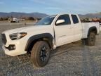 2023 Toyota Tacoma Access Cab