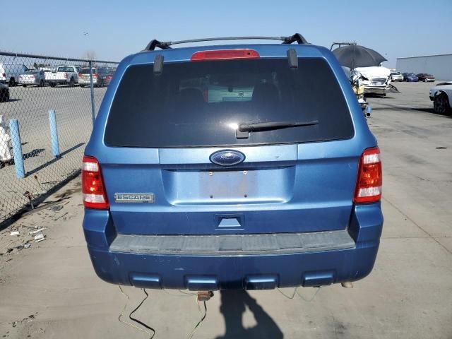 2010 Ford Escape XLT