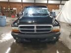 2004 Dodge Dakota Quad Sport