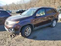 Salvage cars for sale at Marlboro, NY auction: 2011 KIA Sorento EX