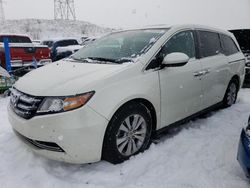 Honda salvage cars for sale: 2016 Honda Odyssey EXL