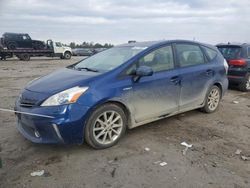 Toyota Prius salvage cars for sale: 2013 Toyota Prius V