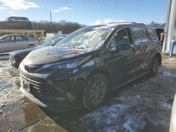 Salvage cars for sale at Windsor, NJ auction: 2024 Toyota Sienna LE