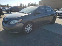 Salvage cars for sale at Gaston, SC auction: 2010 Toyota Corolla Base