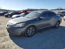 Honda Vehiculos salvage en venta: 2011 Honda Accord EXL