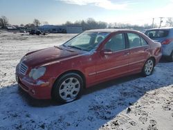 Mercedes-Benz salvage cars for sale: 2005 Mercedes-Benz C 240