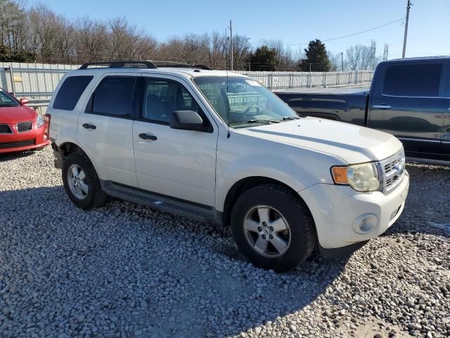 2009 Ford Escape XLT