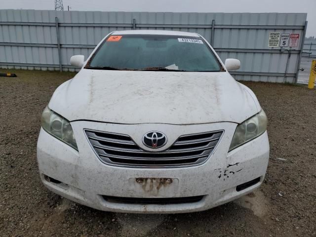 2009 Toyota Camry Hybrid