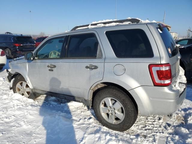 2009 Ford Escape XLT