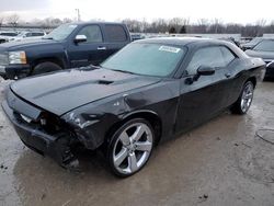 Dodge Challenger salvage cars for sale: 2013 Dodge Challenger R/T