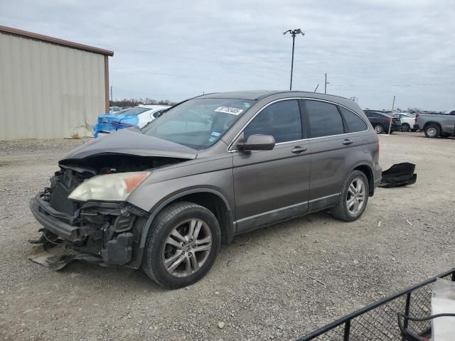 2010 Honda CR-V EXL