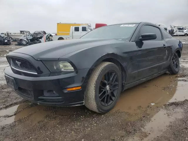 2014 Ford Mustang