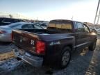 2005 Dodge Dakota Quad SLT