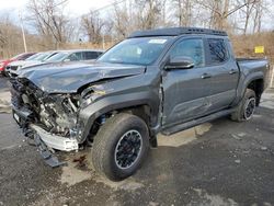 Salvage cars for sale at Marlboro, NY auction: 2024 Toyota Tacoma Double Cab