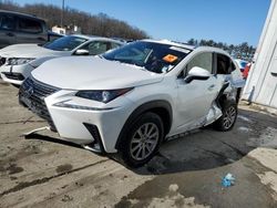 Salvage cars for sale at Windsor, NJ auction: 2021 Lexus NX 300 Base