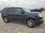 2011 Honda Pilot EXL